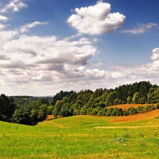 Country summer landscape wallpaper