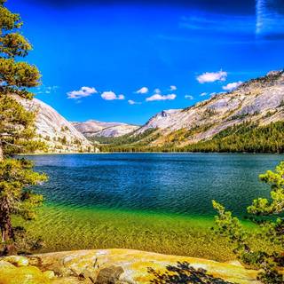 Summer National Park wallpaper