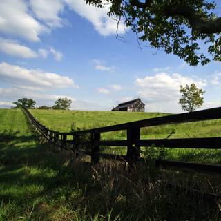Country summer landscape wallpaper