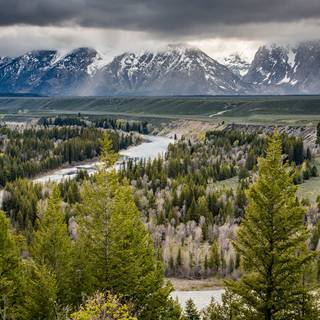 Summer National Park wallpaper