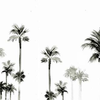 Palm tree summer aesthetic wallpaper