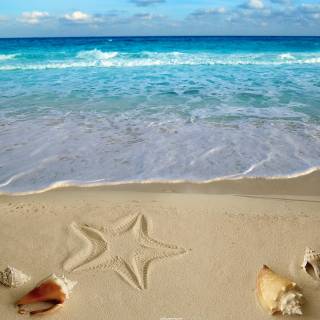 Summer ocean laptop wallpaper