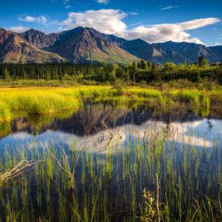 Summer National Park wallpaper