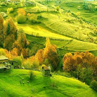 Country summer landscape wallpaper