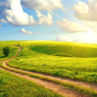 Country summer landscape wallpaper