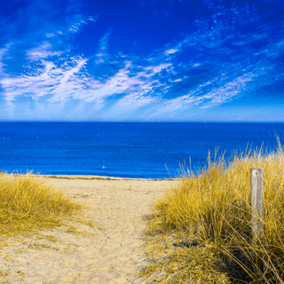 Summer ocean laptop wallpaper