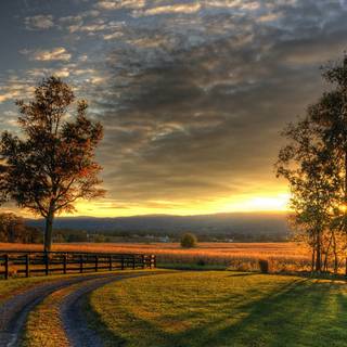 Country summer landscape wallpaper