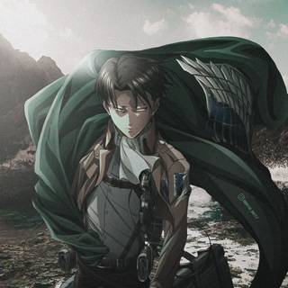Levi drip wallpaper