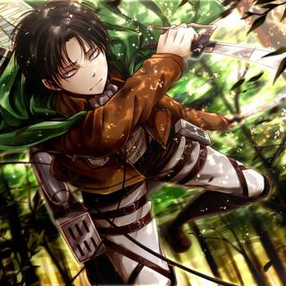 Levi drip wallpaper
