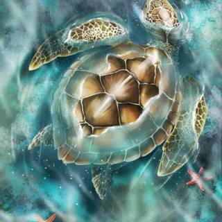 Cool turtles wallpaper