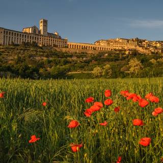 Umbria wallpaper