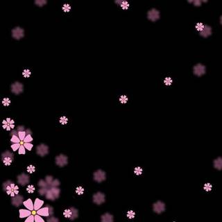 Dark pink flowers wallpaper