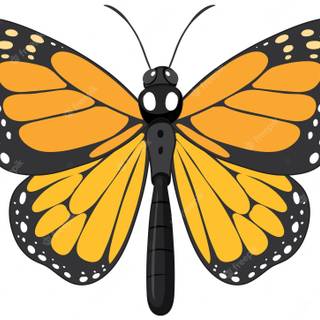 Monarch butterfly cartoon wallpaper