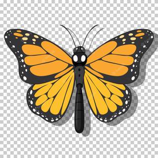Monarch butterfly cartoon wallpaper