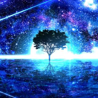 Bright shine wallpaper