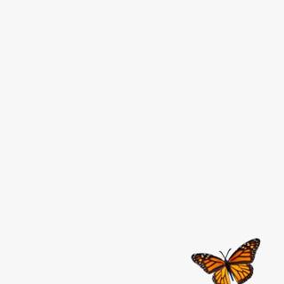 Monarch butterfly cartoon wallpaper