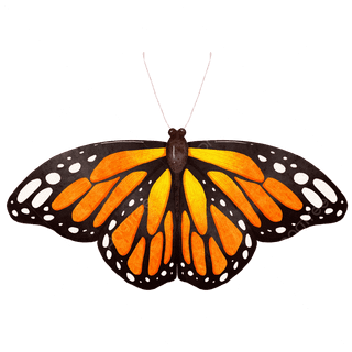 Monarch butterfly cartoon wallpaper