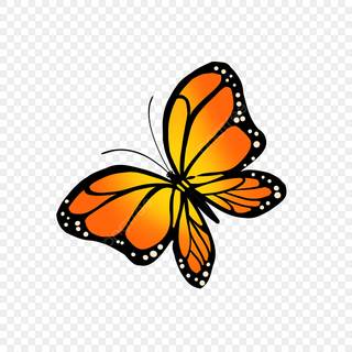 Monarch butterfly cartoon wallpaper