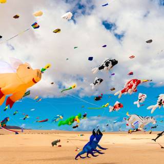 Microsoft Bing wallpaper