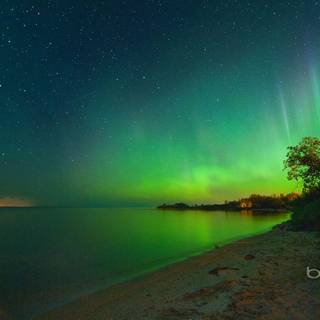 Microsoft Bing wallpaper