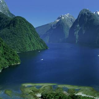 Microsoft Bing wallpaper