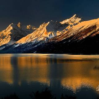 Microsoft Bing wallpaper