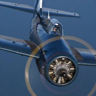 Grumman F4F Wildcat wallpaper