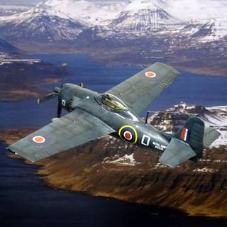 Grumman F4F Wildcat wallpaper