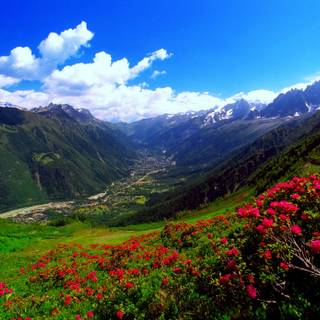 Carpathian Mountains wallpaper