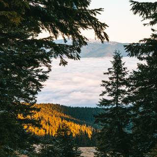 Carpathian Mountains wallpaper