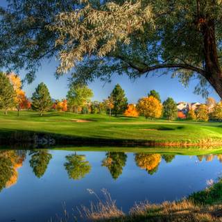 Nature Windows wallpaper