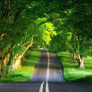 Nature Windows wallpaper