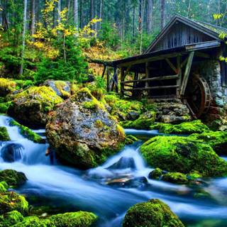 Nature Windows wallpaper