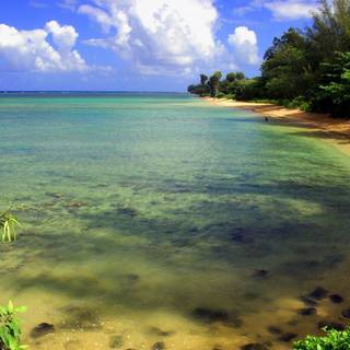 Nature Windows wallpaper