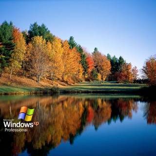 Nature Windows wallpaper