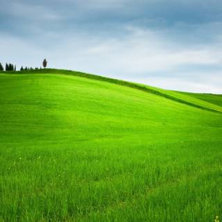 Nature Windows wallpaper