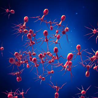 Bacteriophage wallpaper