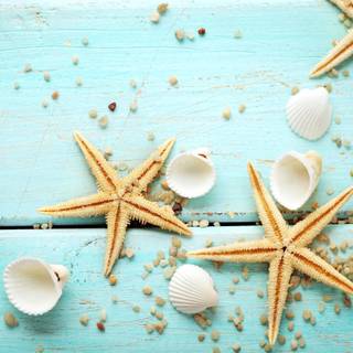 Seastar wallpaper