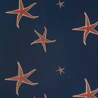 Seastar wallpaper