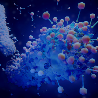 Bacteriophage wallpaper