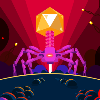 Bacteriophage wallpaper