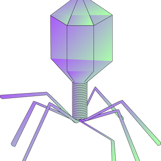 Bacteriophage wallpaper