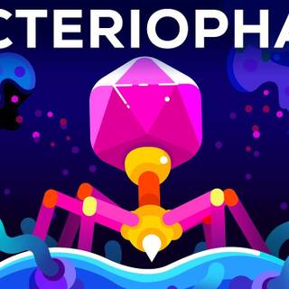 Bacteriophage wallpaper