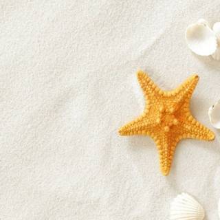 Seastar wallpaper
