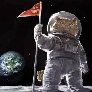 Cat astronaut wallpaper