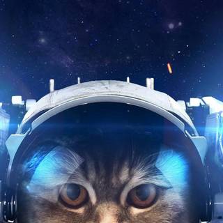 Cat astronaut wallpaper