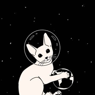 Cat astronaut wallpaper