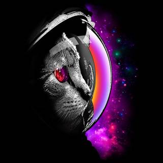 Cat astronaut wallpaper