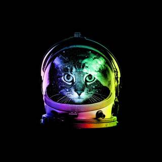 Cat astronaut wallpaper