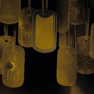 Dog tags wallpaper